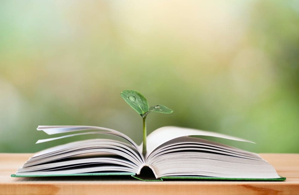 Why Investing in Proprietary Curriculum is Like Planting Your Own Garden