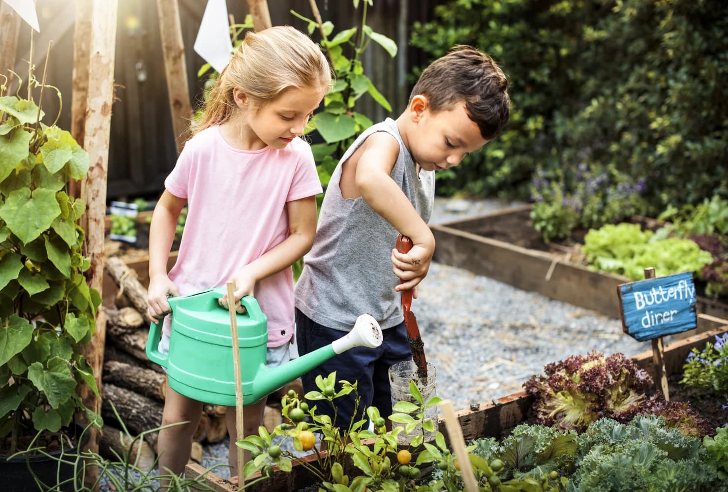 The Greening of Schools: How EdTech is Supporting Sustainability